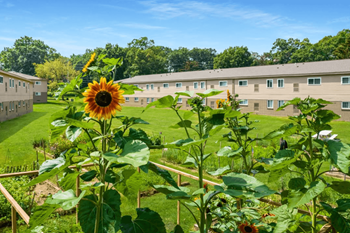 Community gardens